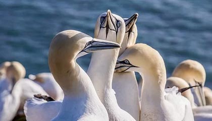 金沙娱乐注册|足球赛事v2.2.5